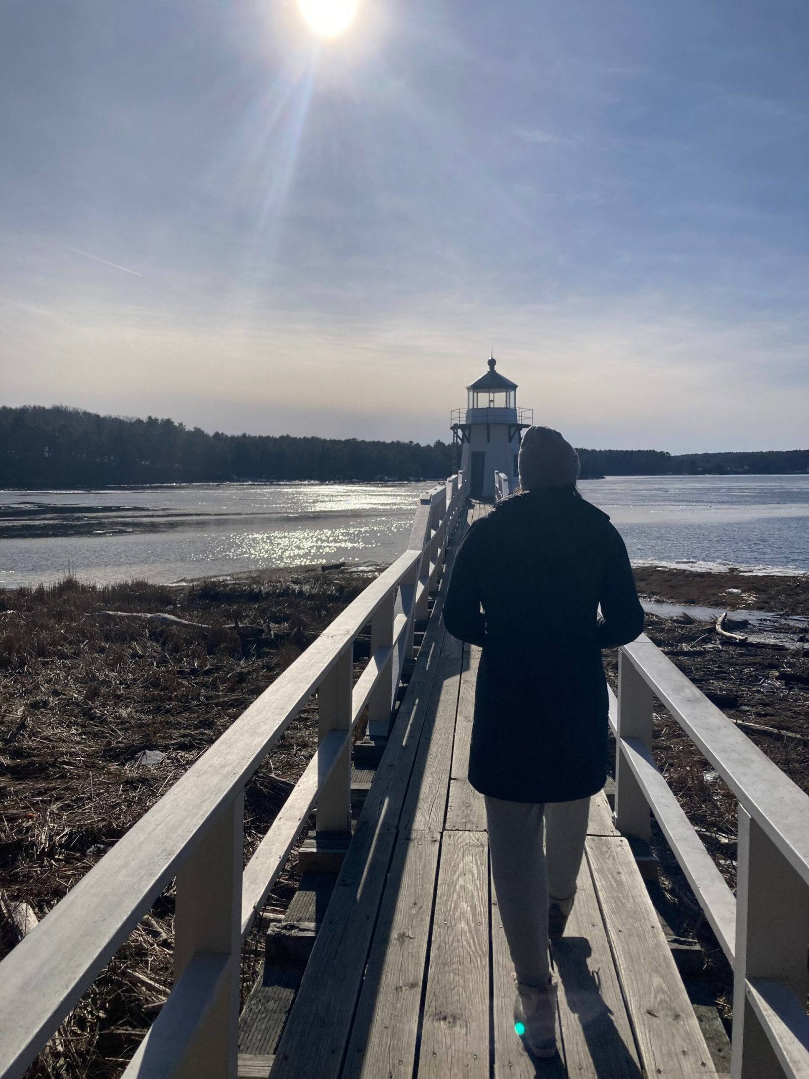 Birder's search for the Steller's Sea Eagle along the Kennebec river